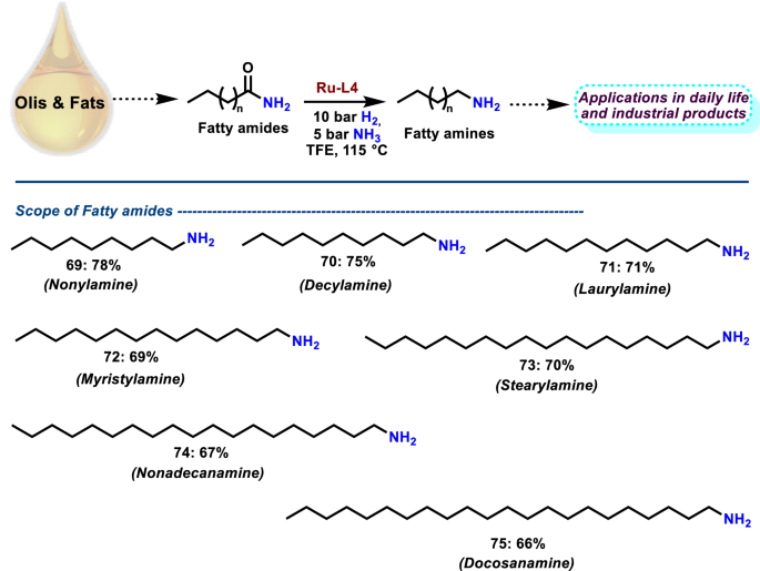 Fig. 7: Synthesis of fatty amines by Ru-catalyzed amide hydrogenation.