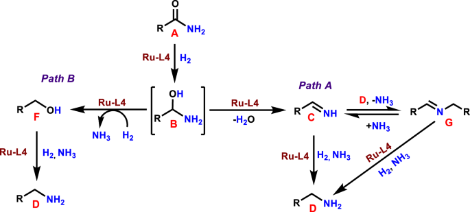 Fig. 8: Proposed reaction pathways for the Ru-L4 catalyzed hydrogenation of primary amides to primary amines.