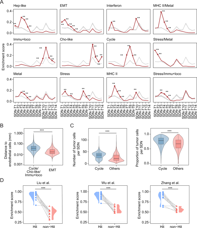 Fig. 4: Enrichment of tumor cell states on SDNs.