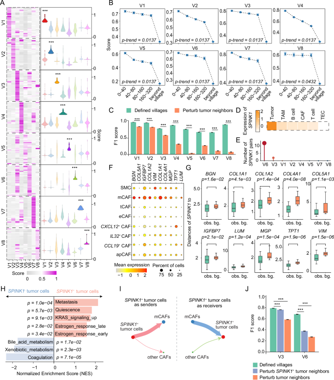 Fig. 6: Spatial molecular co-dependencies in individual tumor cell villages.