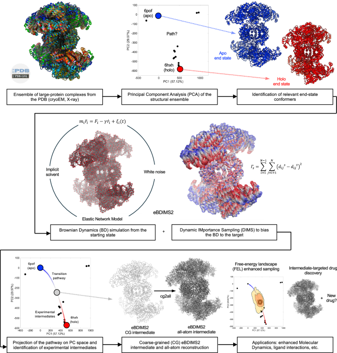 Fig. 1: Overview of the eBDIMS2 path-sampling method for the generation of conformational intermediates of large protein systems, cross-validation with Principal Component Analysis (PCA) of experimental ensembles, and applications upon atomistic reconstruction.