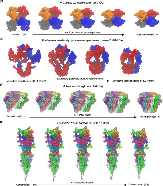 Fig. 3: eBDIMS2 has virtually no restrictions on the type/extent of the conformational change and macromolecular architecture.