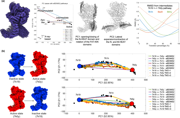 Fig. 5: eBDIMS2 pathways capture experimental intermediates and agree with targeted Molecular Dynamics (TMD) simulations: the case of DNA-PKcs.