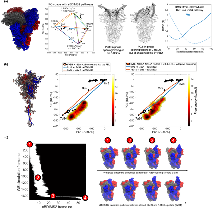 Fig. 6: eBDIMS2 pathways capture experimental intermediates and agree with µs-long and enhanced MD simulations: the case of SARS-CoV-2 spike glycoprotein.