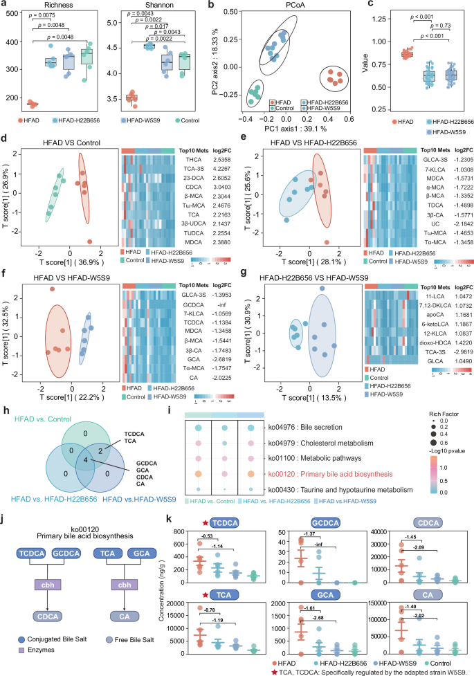 Fig. 6: The adapted B. animalis subsp. lactis W5S9 rebalances intestinal bile-acid metabolism in NAFLD mice.