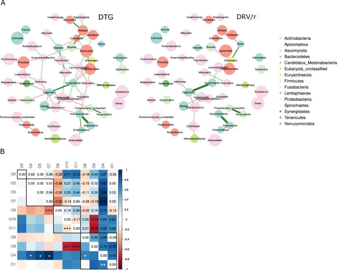 Fig. 5: Co-occurrence network architecture and topological properties at 96 weeks of ART.