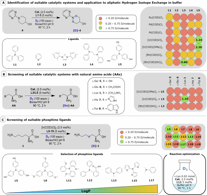 Fig. 2: Reaction optimization.