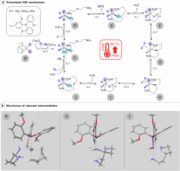 Fig. 4: Postulated mechanism.