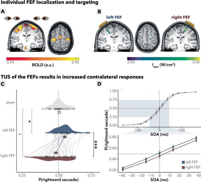 Fig. 2: Main behavial TUS effect.