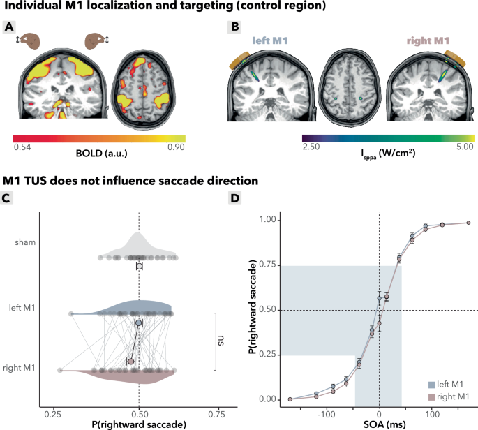 Fig. 4: Control analyses: M1 TUS effects.