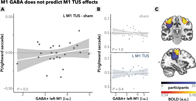Fig. 5: Control analyses: interindividual variability in M1 TUS effects.