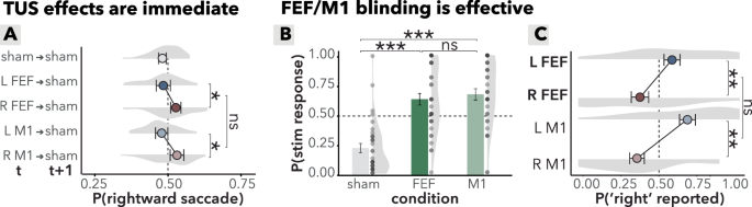 Fig. 6: Effects of online TUS and masking assessment.