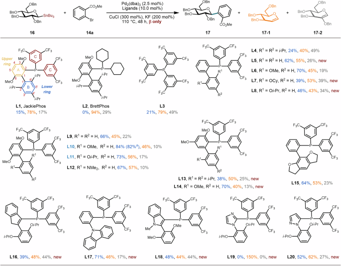 Fig. 2: Optimizing ligands for next-generation stereospecific glycosyl cross-coupling.