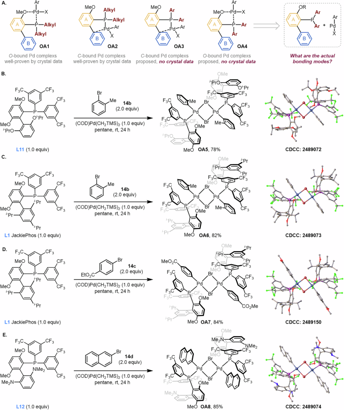 Fig. 3: Synthesis and characterization of diarylbiaryl monophosphine-based oxidative addition complexes (OACs).