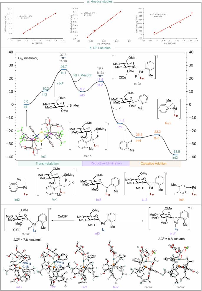 Fig. 5: Reaction energy profile of the Pd-catalyzed Stille coupling of hinder 2-bromotoluene using L1 and L11 ligands.