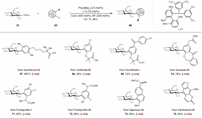 Fig. 8: Late-stage sterically demanding glycodiversification of bioactive molecules and drug scaffolds.