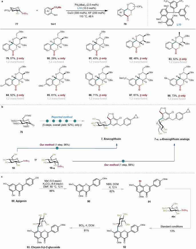 Fig. 9: Synthesis of fused cyclic aryl C-glycosides, drugs and natural products.
