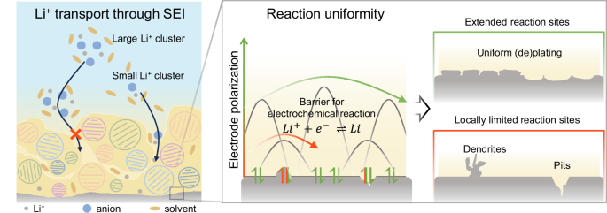 Fig. 1: Illustrations of interfacial factors that influence Li (de)plating.