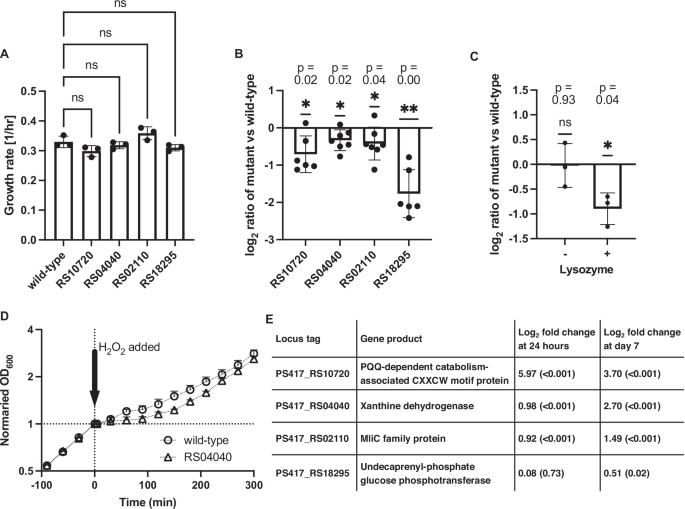 Fig. 4: Mutant phenotypes in root colonization and stress tolerance.
