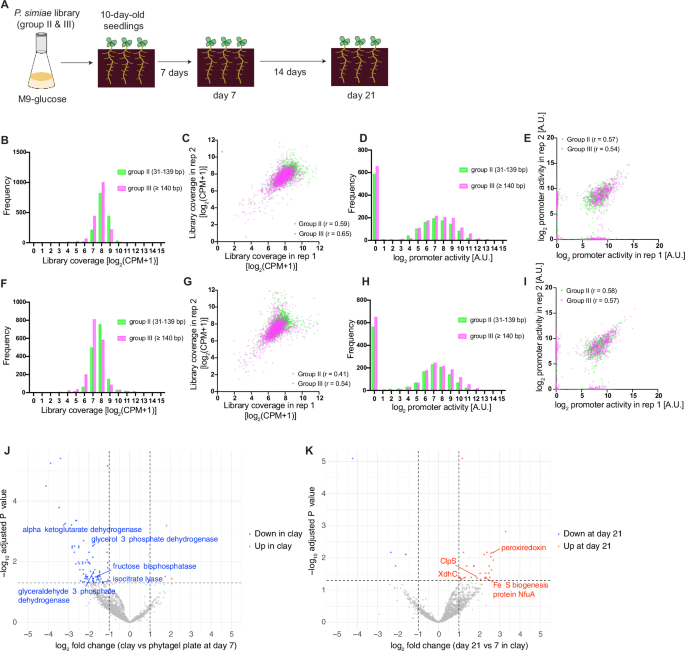 Fig. 5: Application of PI-seq to a soil-like system.