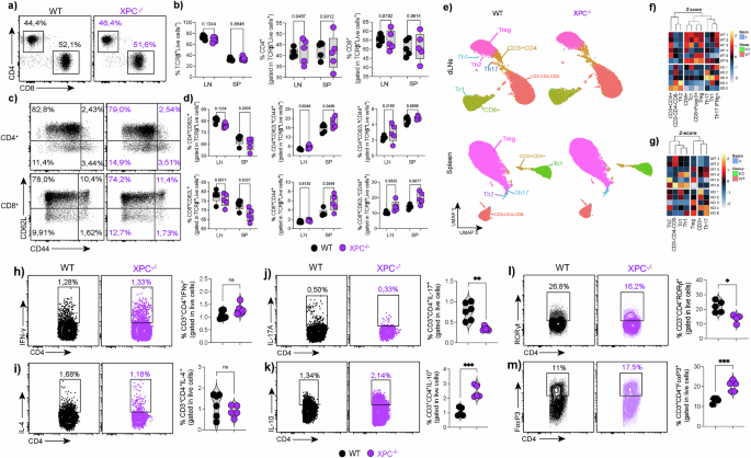 Fig. 1: XPC deficiency alters CD4⁺ T-cell subset differentiation.