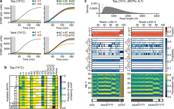 Fig. 8: Guiding sequence composition of doodled DNA using dNTP availability.
