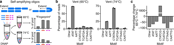Fig. 9: Using seed oligos to guide doodling activity during isothermal reactions.