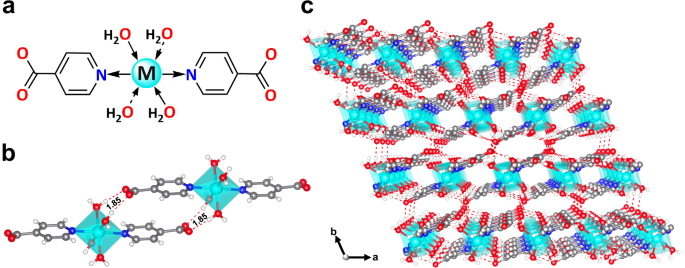 Fig. 2: Crystal structure of M-PyC (M = Mn, Co, Ni, Zn).