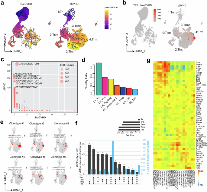 Fig. 3: Mapping T cell lineage development pathway and clonal expansion by combined scRNA-seq and scTCR-seq.
