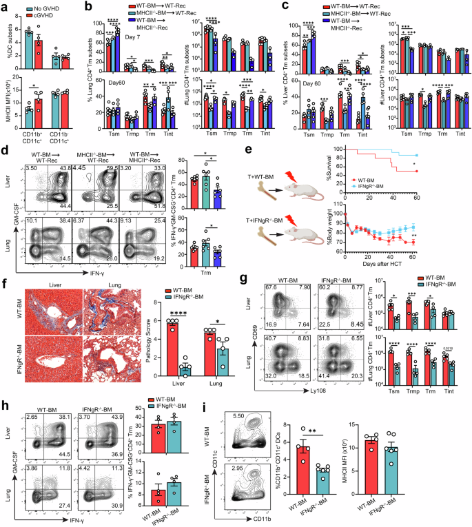Fig. 6: Donor MHCII-mediated indirect antigen-presentation was required to maintain the pools of stem-like Tm and their progeny in GVHD target tissues.