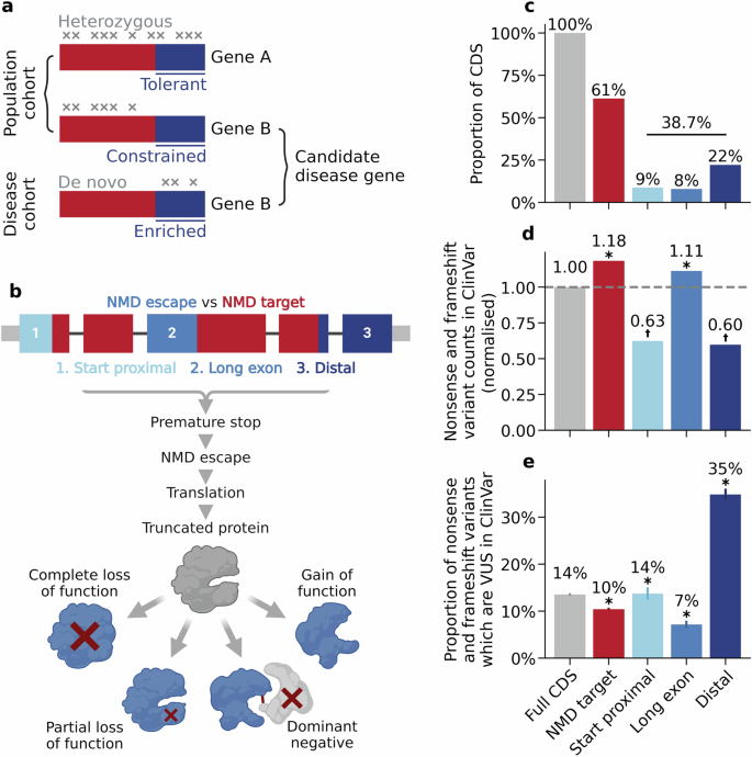 Fig. 1: PTCs in predicted NMD-escape regions are challenging to interpret clinically.