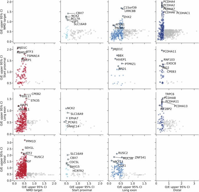 Fig. 4: Non-uniform nonsense constraint within transcripts.