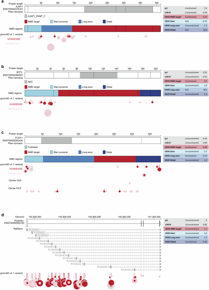 Fig. 5: (overleaf)| Many transcripts have non-uniform nonsense constraint.