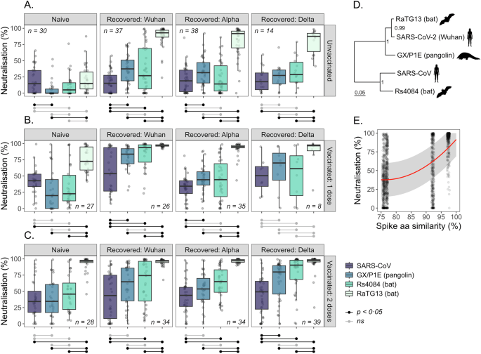 Fig. 1: Neutralisation of viral pseudotypes carrying the spike proteins of different sarbecoviruses by sera from individuals of different infection and vaccination histories.