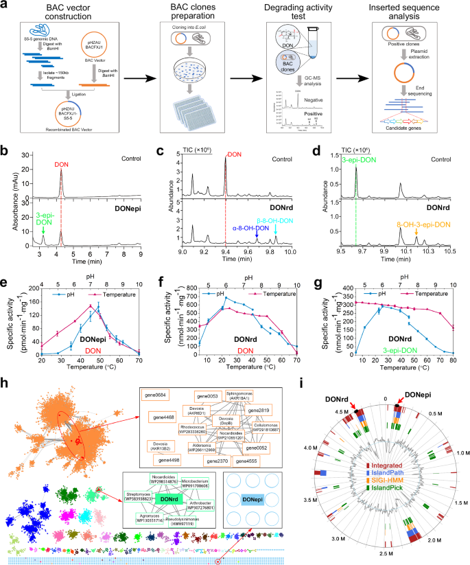 Fig. 2: Identification of genes for DON degradation.