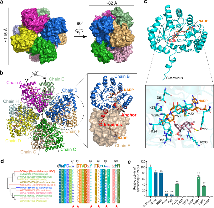 Fig. 3: Cryo-EM structure of DONepi and the interactions between DONepi and DON.