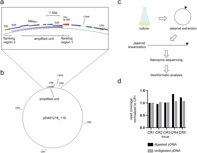 Fig. 1: Experimental overview.