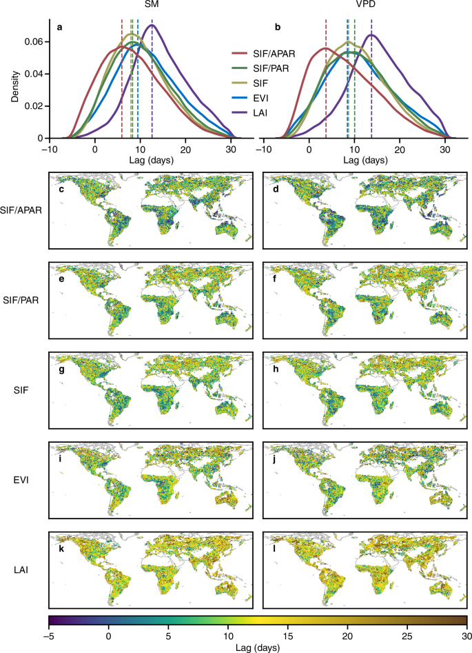 Fig. 3: Response times of vegetation to drought.