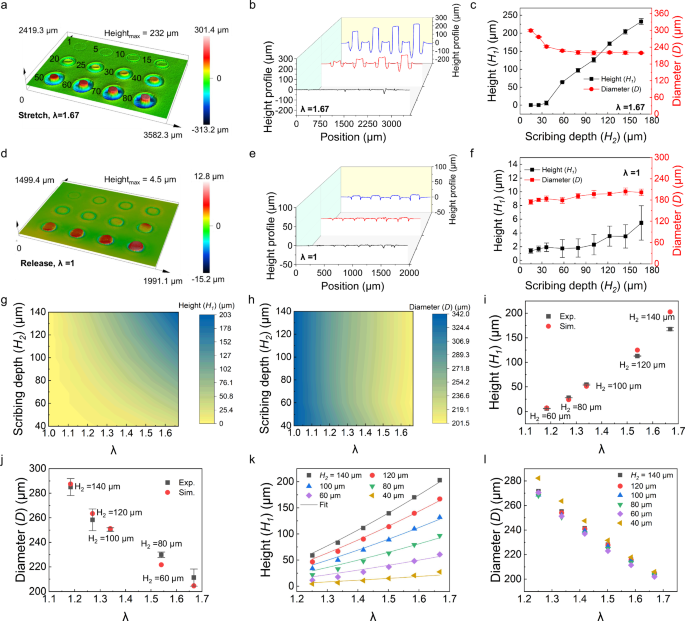Fig. 2: Stretch-induced self-growth of straight micropillars.