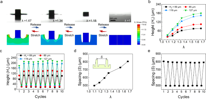 Fig. 3: Reversible tuning of stretch-induced self-grown straight micropillars.