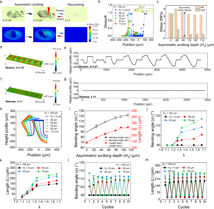 Fig. 4: Stretch-induced self-growth and reversible tuning of bent micropillars.