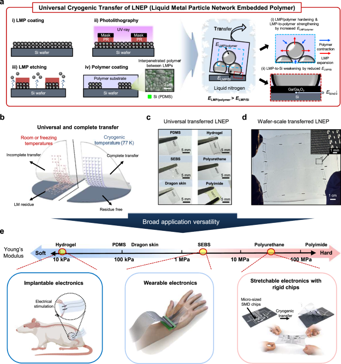 Fig. 1: LNEP for large-area stretchable integrated electronics.