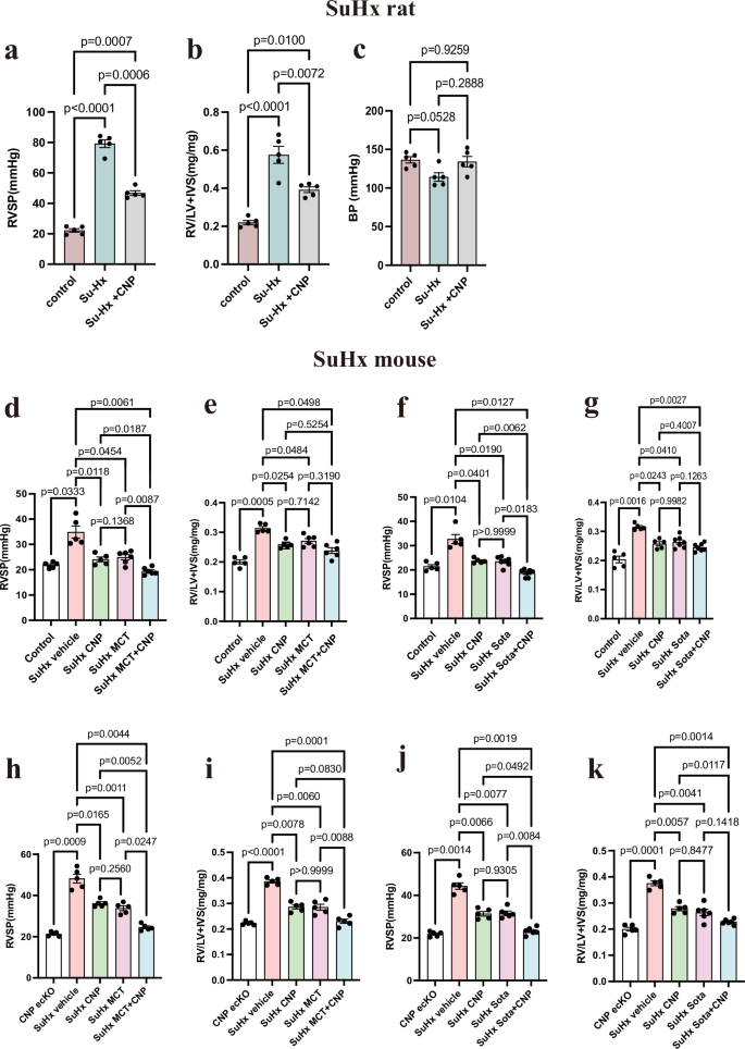 Fig. 10: Therapeutic effects of CNP-53 in SuHx rodent models and its additive benefits with established therapies.