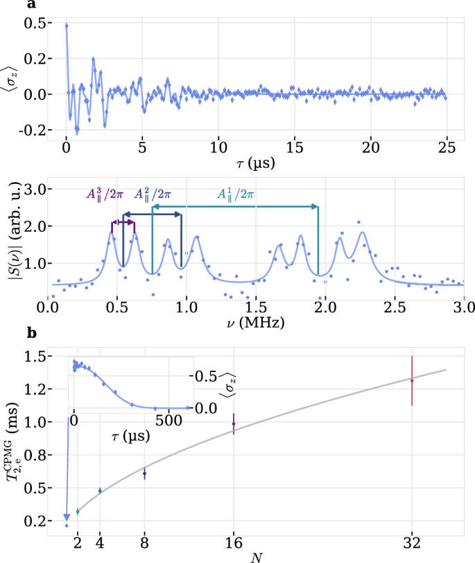 Fig. 2: Electron spin coherence and nuclear spin coupling.