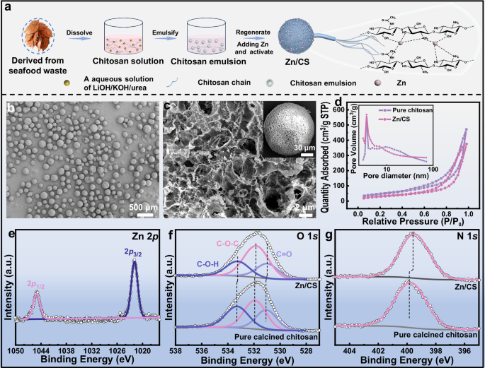 Fig. 1: Preparation and structure of the Zn/CS catalyst.