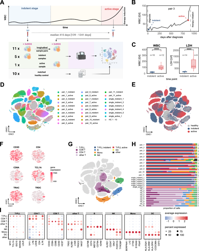 Fig. 1: Single-cell transcriptome atlas of T-PLL peripheral blood mononuclear cells.