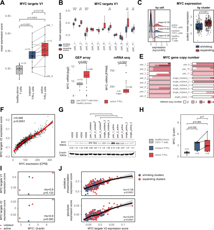 Fig. 3: Enhanced MYC target expression is associated with T-PLL progression.