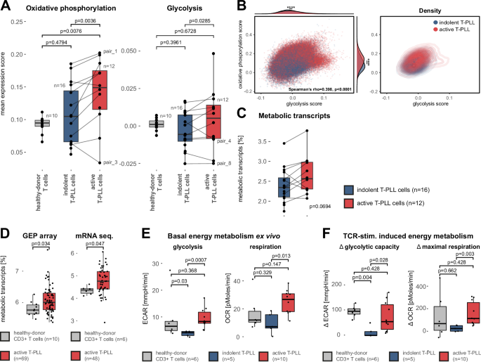 Fig. 4: Upregulated energy metabolism as a common feature in T-PLL progression.