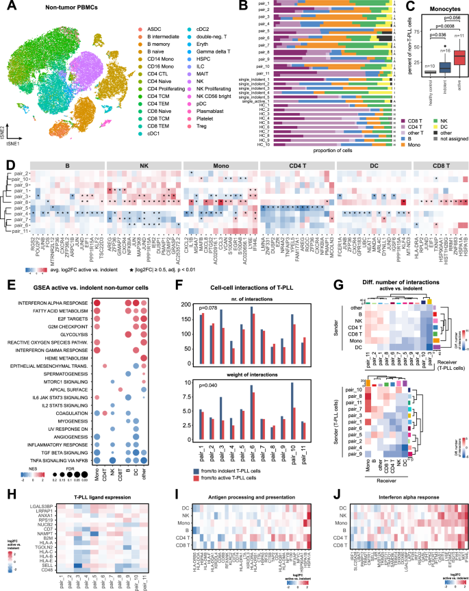 Fig. 6: The tumor microenvironment of progressing T-PLL is defined by downregulated immune response pathways.