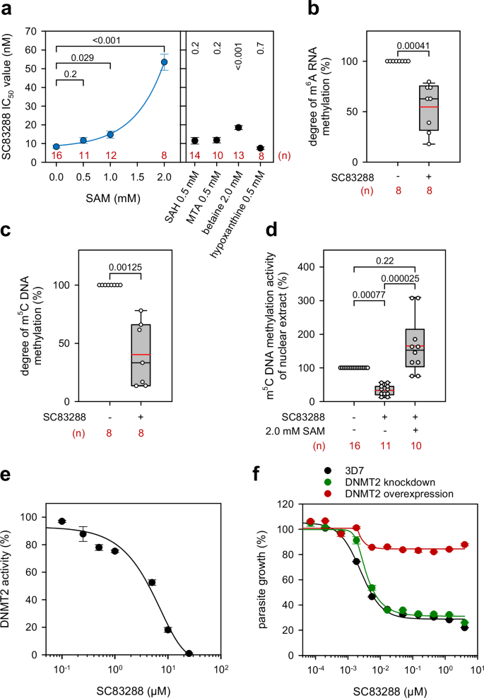 Fig. 8: PfDNMT2 as a primary target of SC83288.